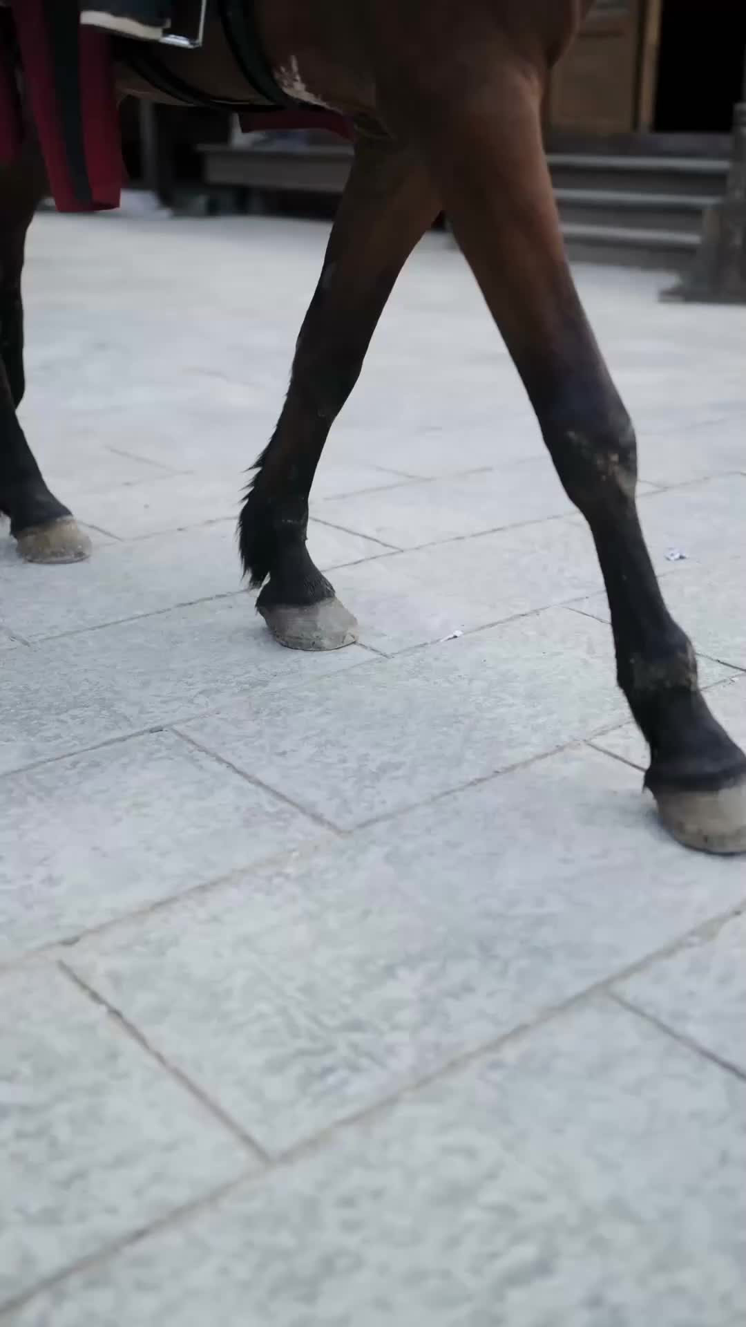 第12集 - 玉階辭東風