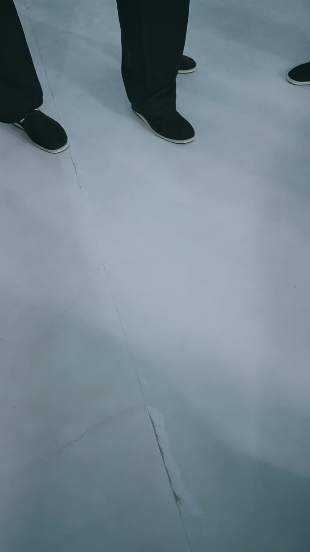 第20集 - 護花龍威