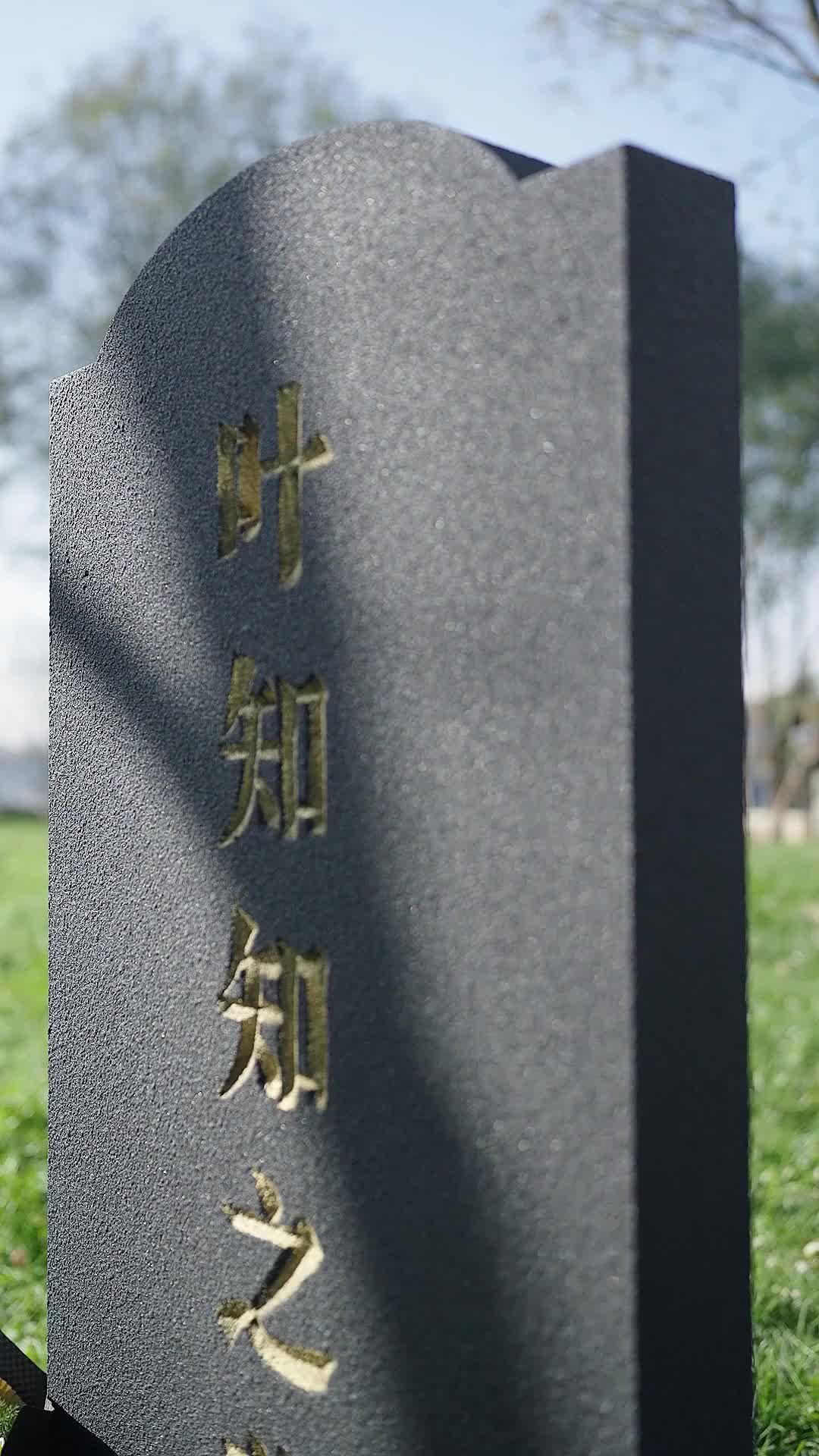 第3集 - 重生後我改嫁病弱老公，三個竹馬悔不當初