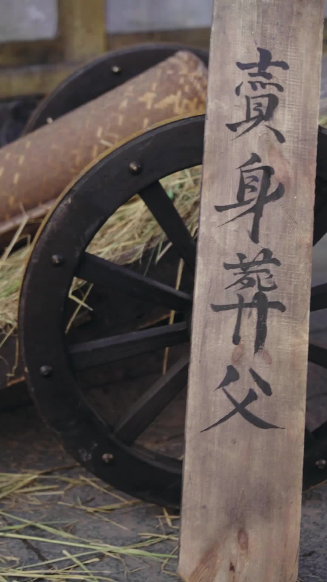 第5集 - 重生後，將軍府棄婦風光嫁帝王
