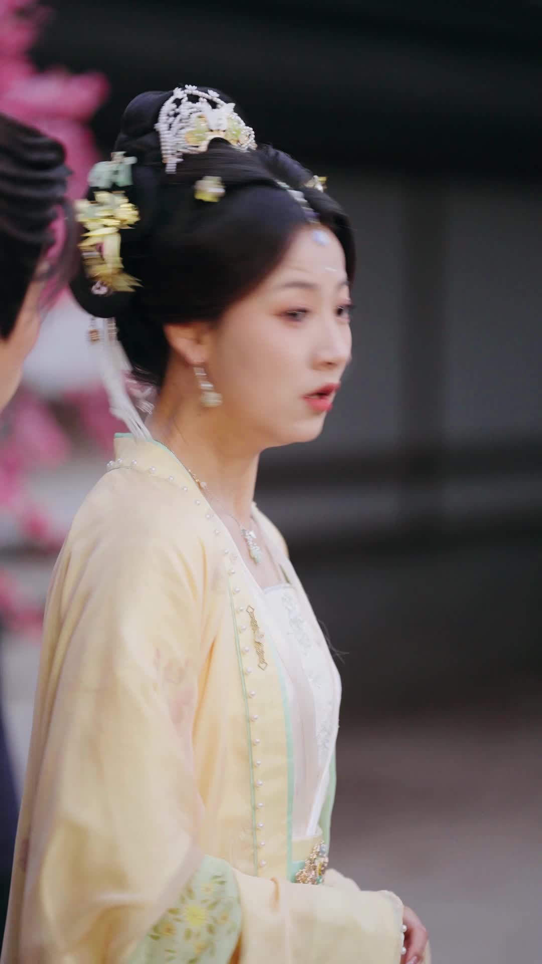 第11集 - 重生後，將軍府棄婦風光嫁帝王