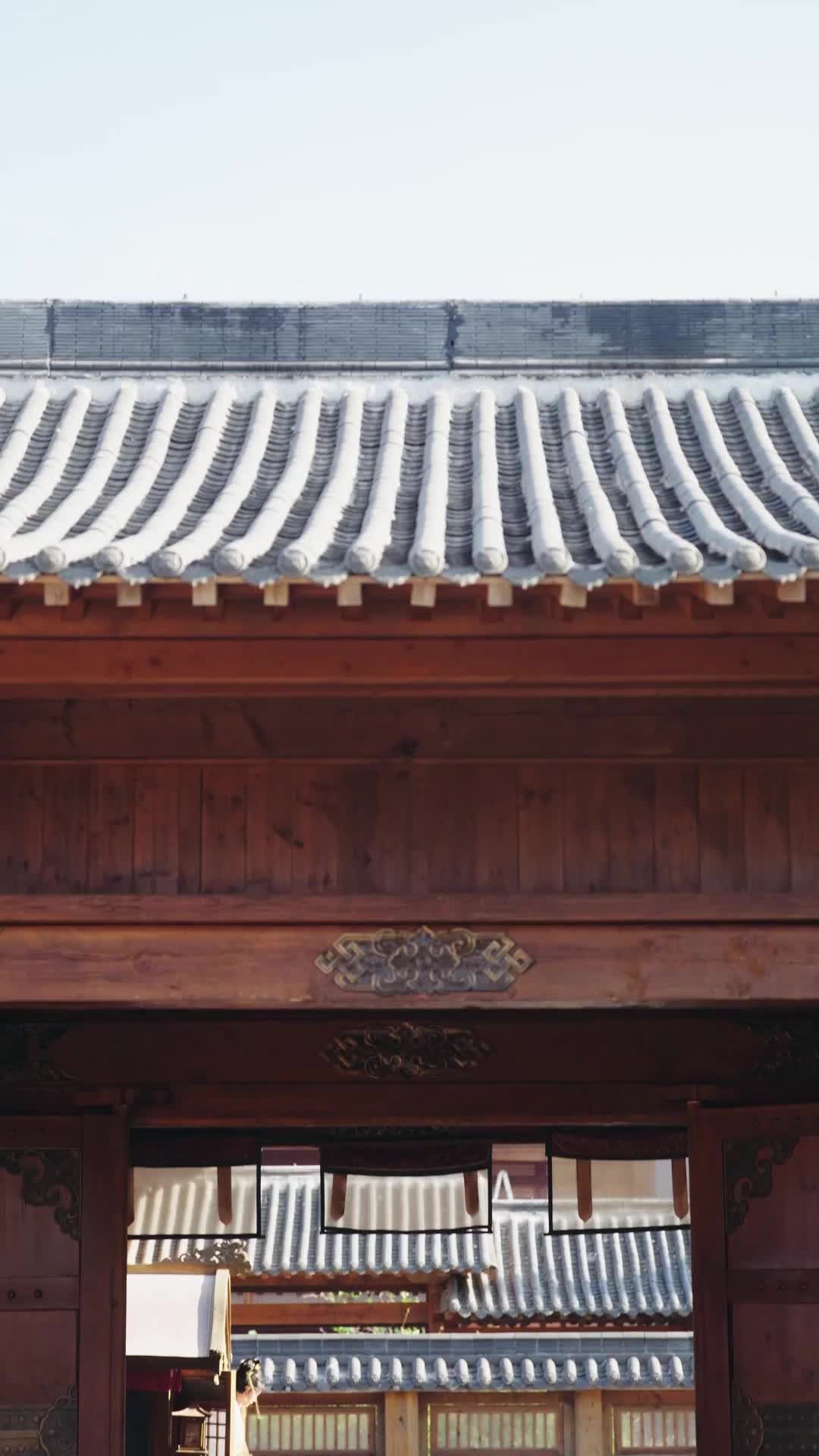第17集 - 重生後，將軍府棄婦風光嫁帝王