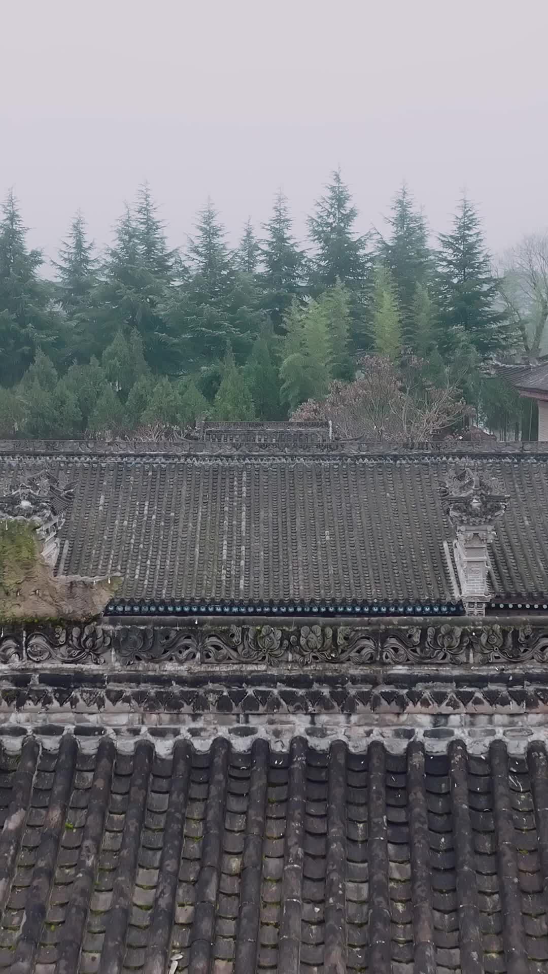 第1集 - 塵埃遇暖陽
